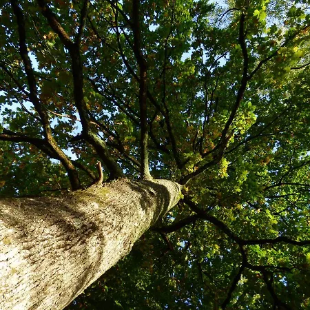 La Tiny Des 3 Pics 3*