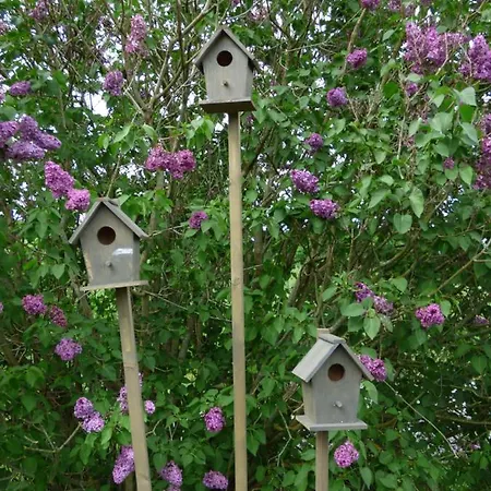 La Tiny Des 3 Pics 3*