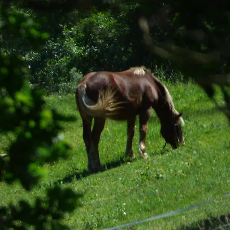 La Tiny Des 3 Pics Bartrés