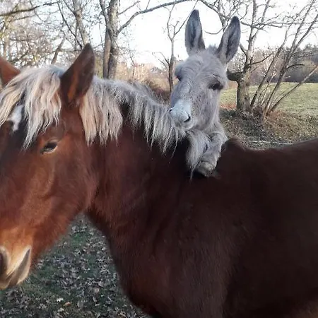 La Tiny Des 3 Pics Pensjonat