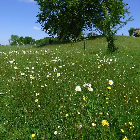 La Tiny Des 3 Pics Pensjonat 3*