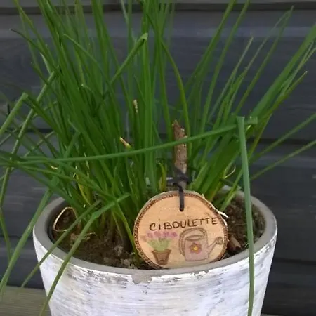 La Tiny Des 3 Pics Bartrés