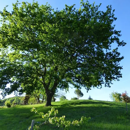 Gasthof La Tiny Des 3 Pics 3*