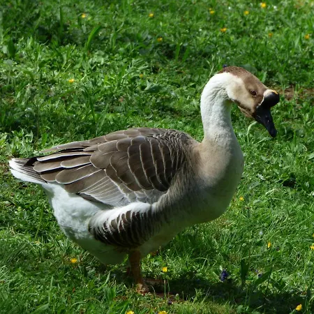 La Tiny Des 3 Pics Bartrés