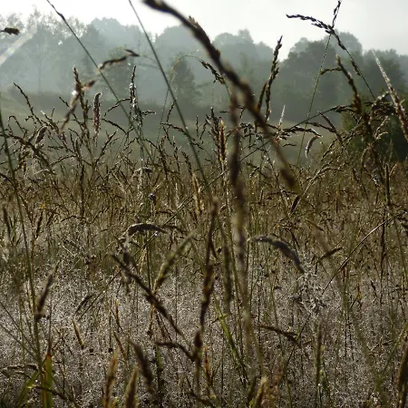 La Tiny Des 3 Pics Gasthof 3*