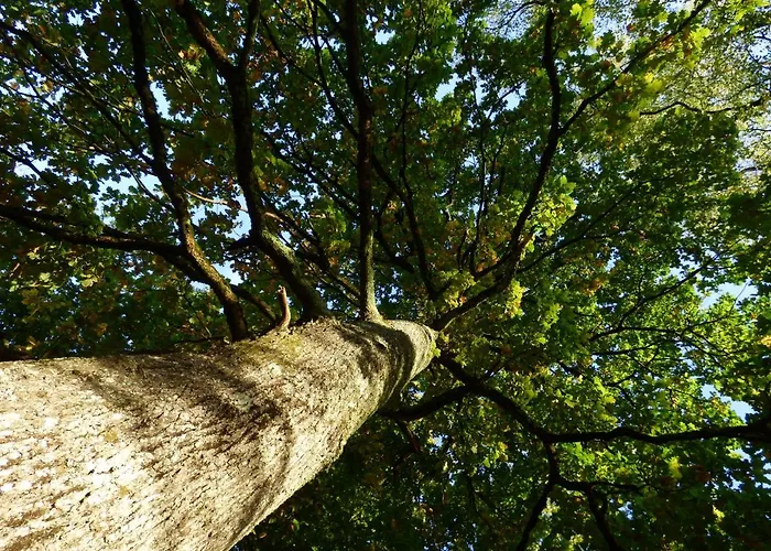 La Tiny Des 3 Pics 3*