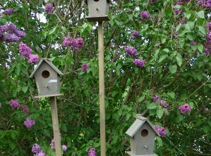 La Tiny Des 3 Pics 3*