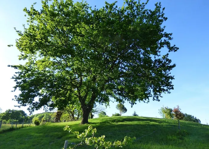 Гостевой дом La Tiny Des 3 Pics 3*