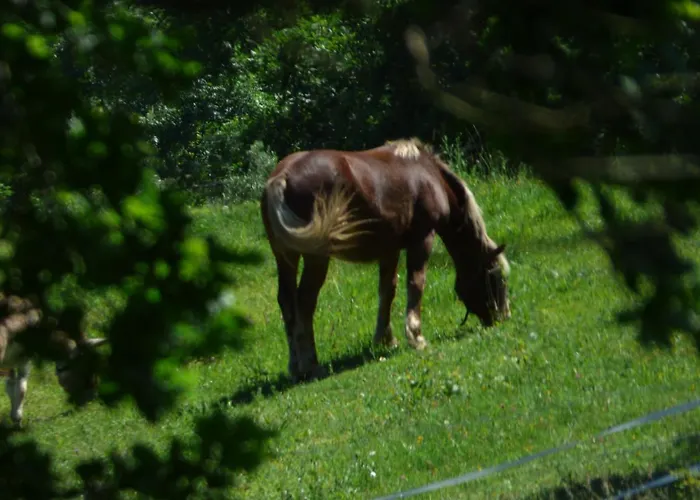 La Tiny Des 3 Pics Bartres