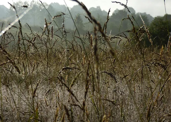 La Tiny Des 3 Pics Гостевой дом 3*