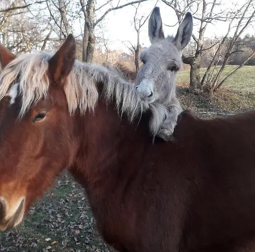 La Tiny Des 3 Pics Гостевой дом