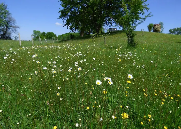 La Tiny Des 3 Pics Гостевой дом 3*