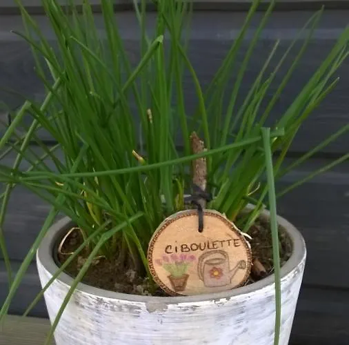 La Tiny Des 3 Pics Bartres